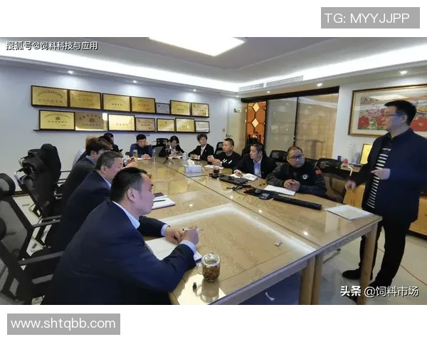 北京排球队意识探讨：提升团队协作与战术执行力的关键因素分析